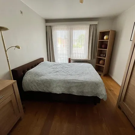 公寓 Spacious 2 Bedroom App In The Center With Balcony *